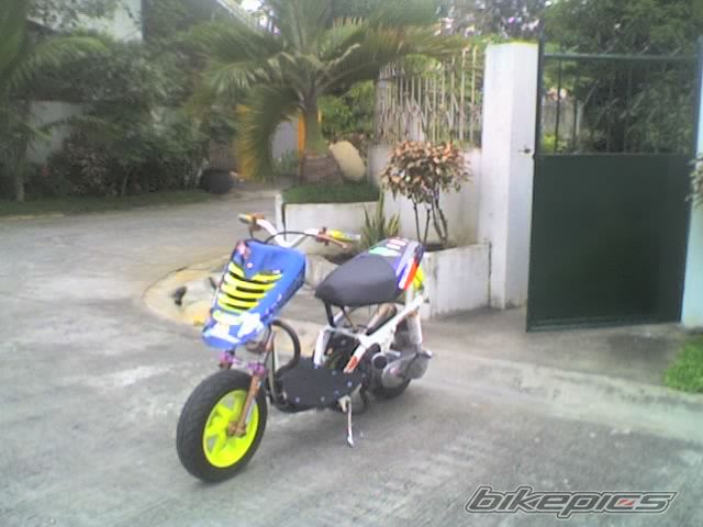Photo 1193096