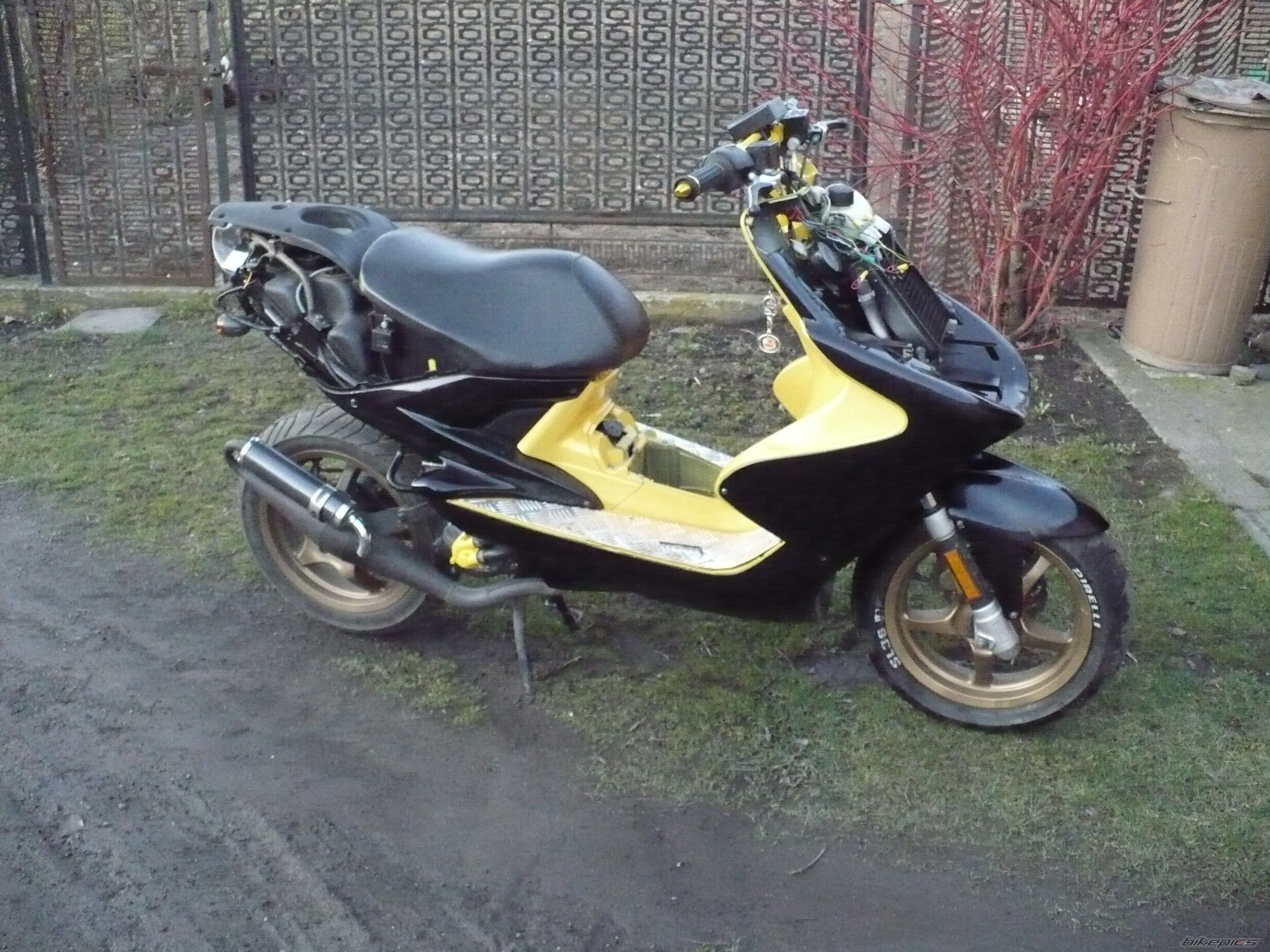 Photo 1193134