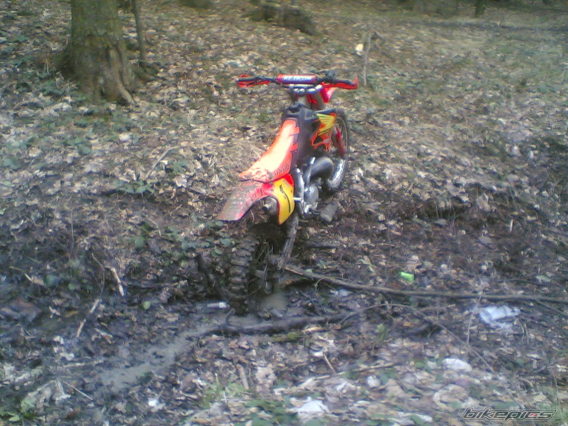 Bike Photo 1193139