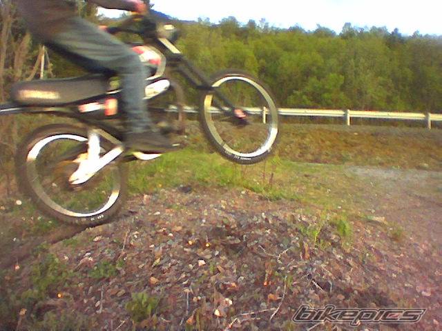 Photo 119327