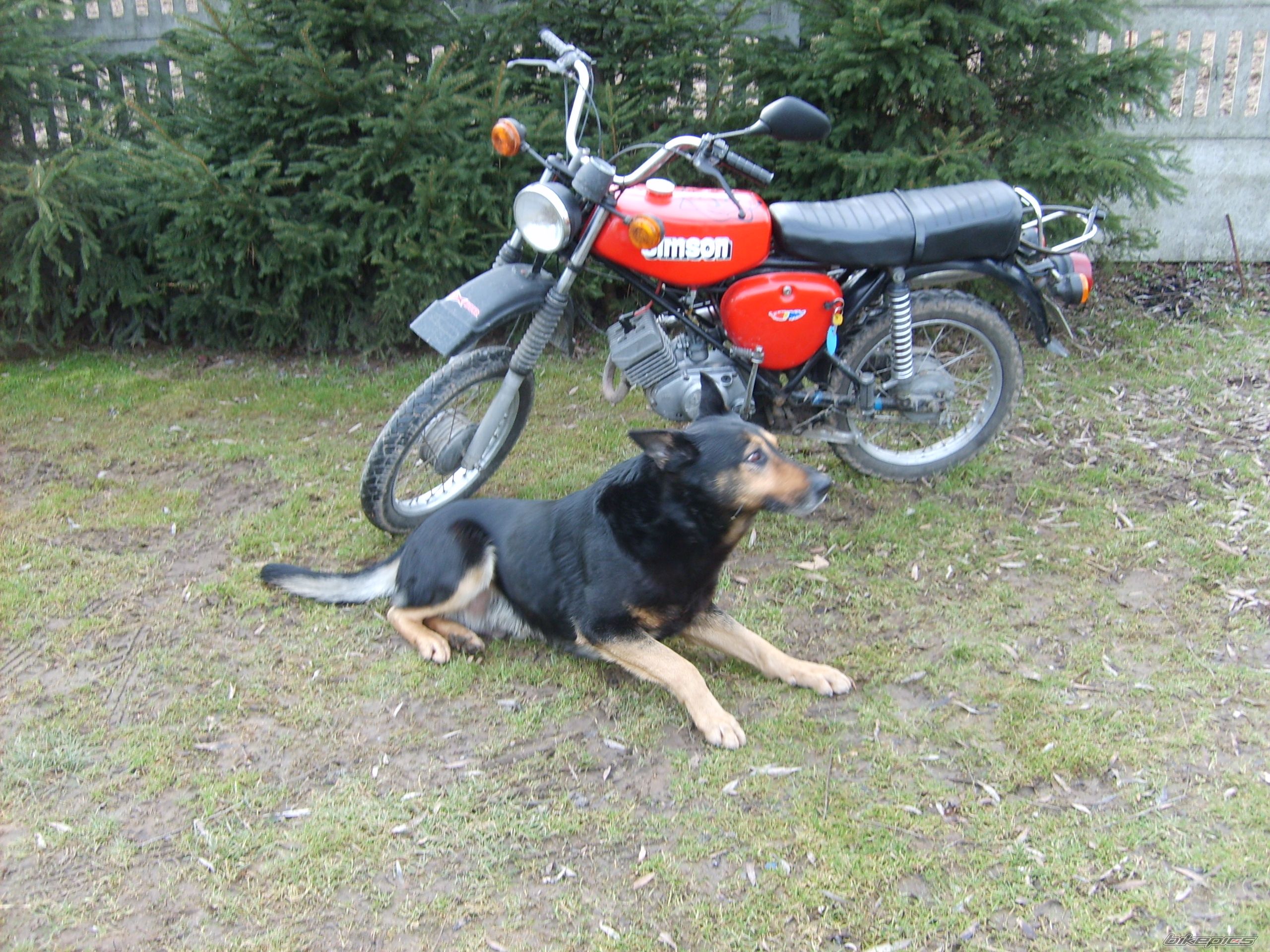 Bike Photo 1193364