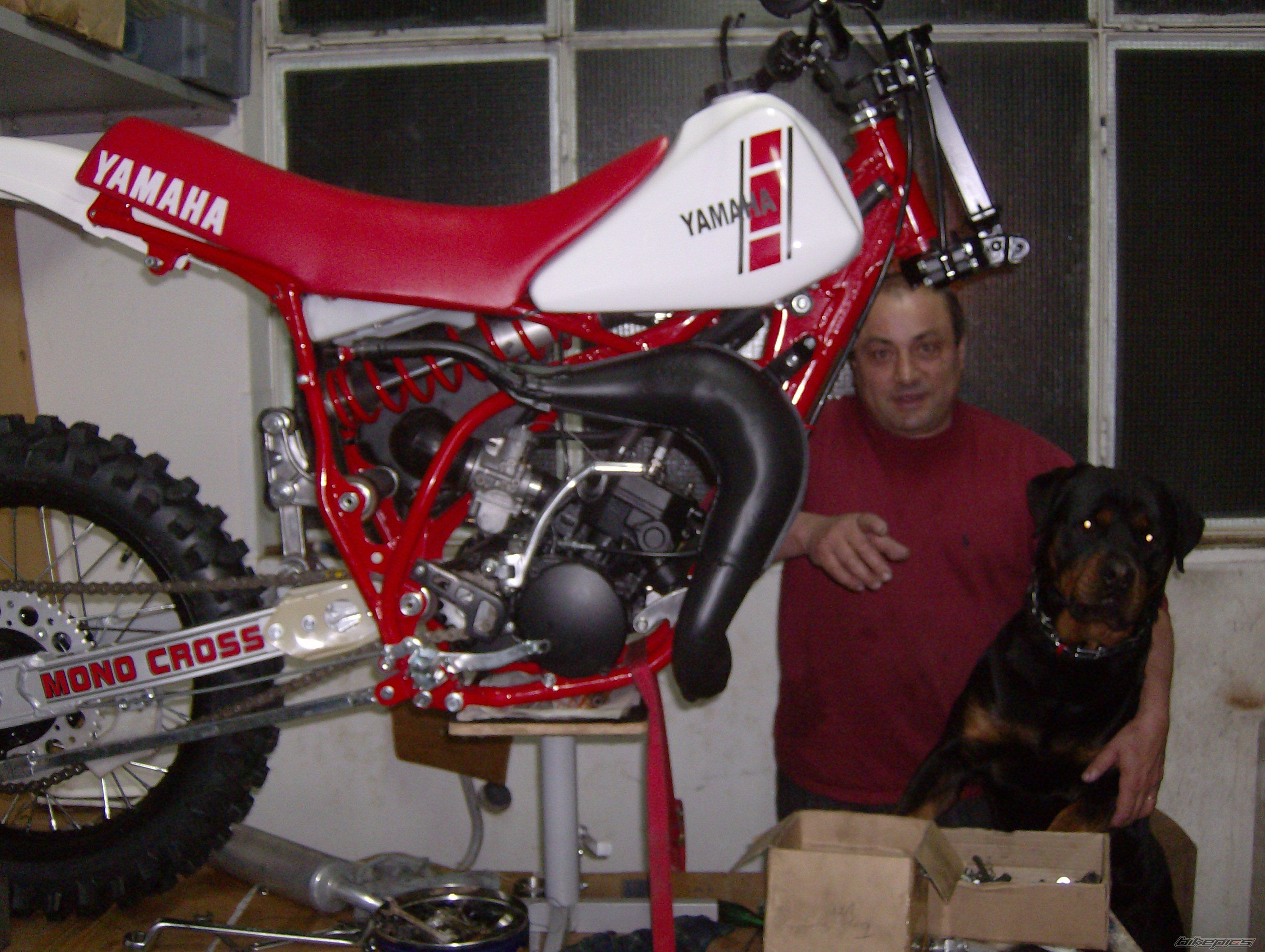 Bike Photo 1193385
