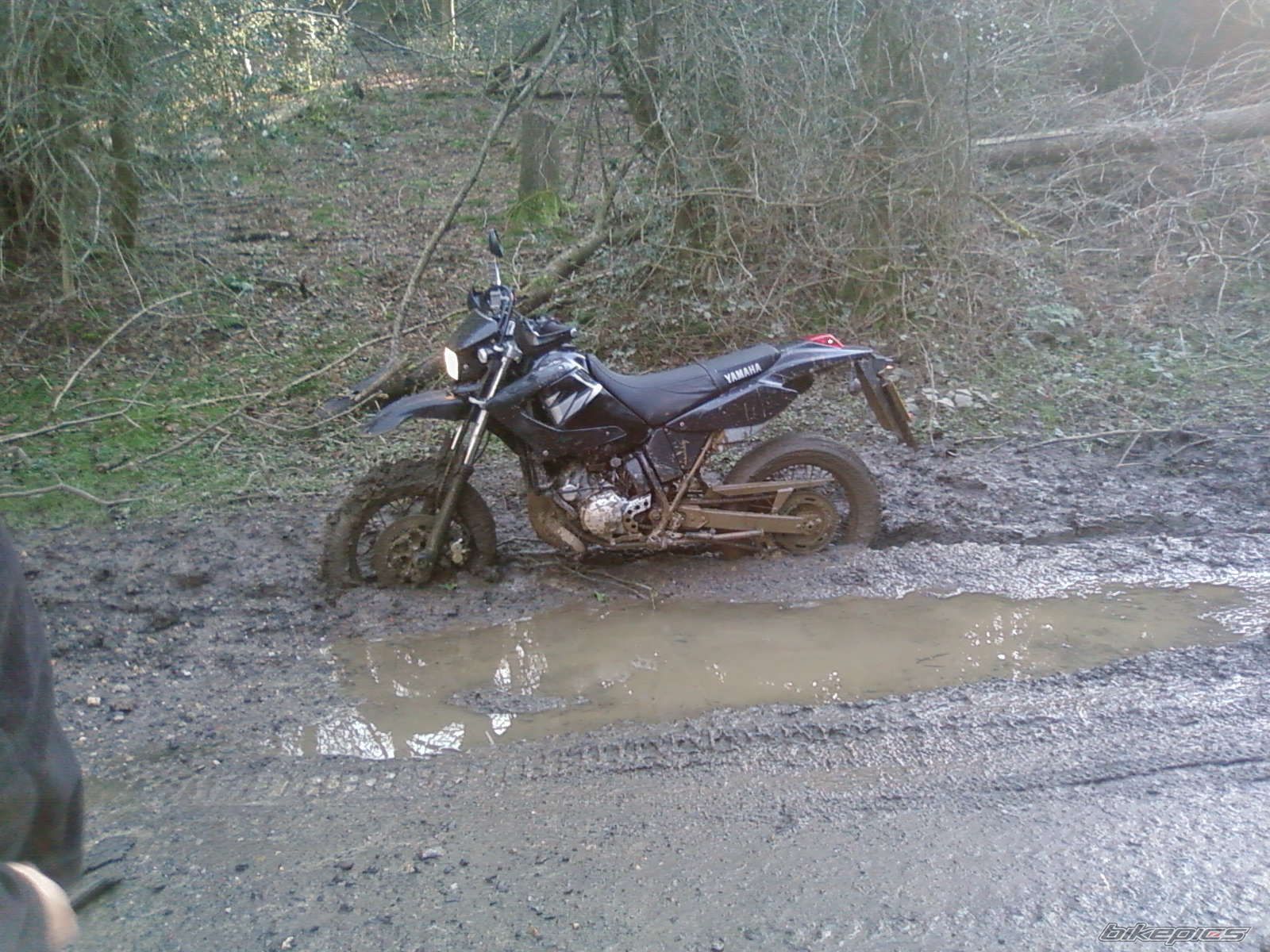 Bike Photo 1193716