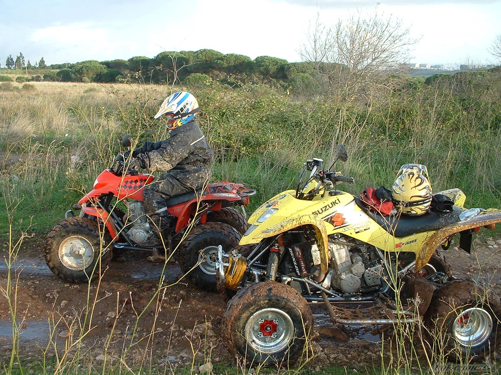 Bike Photo 119388