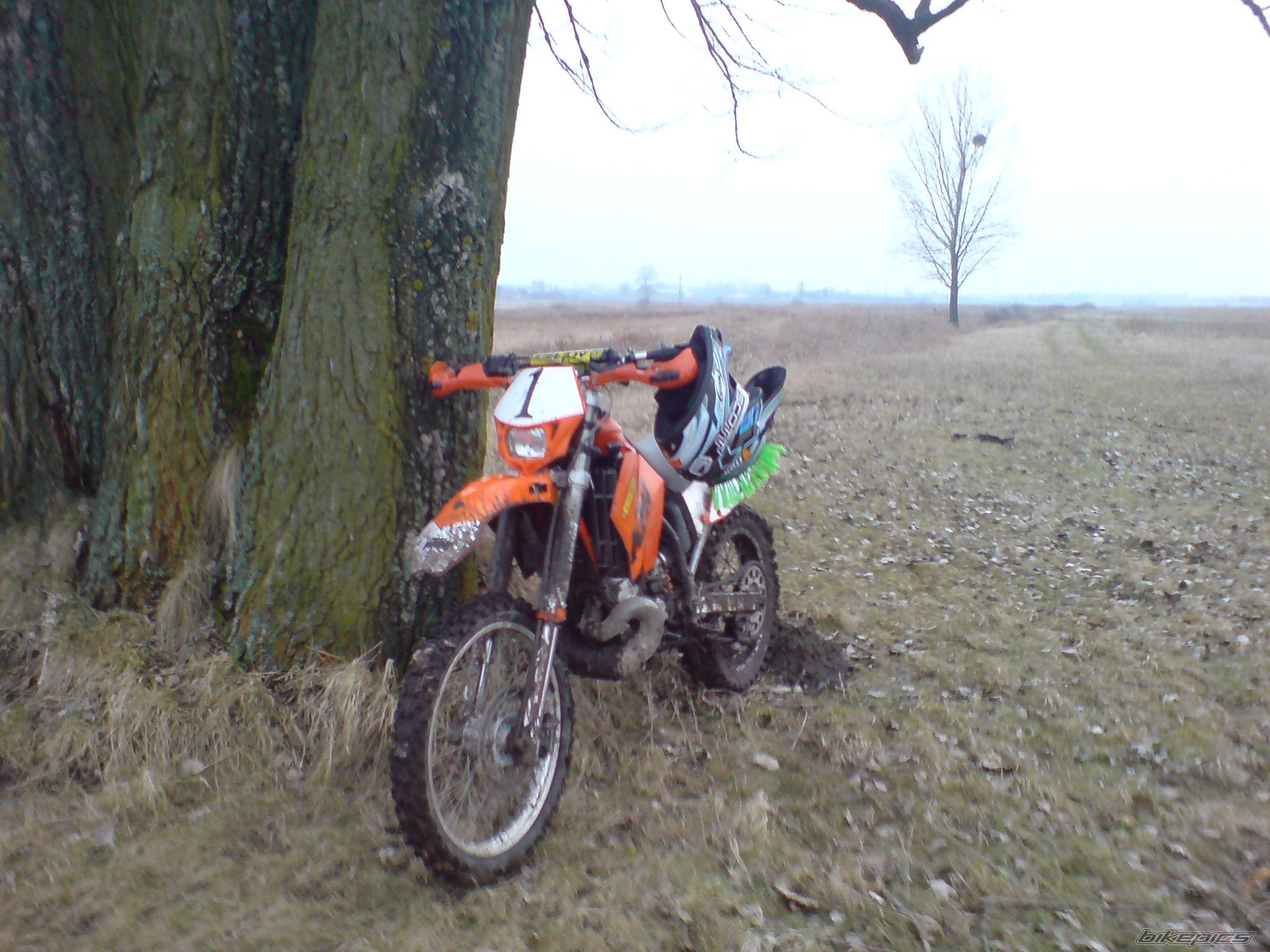 Bike Photo 1194086