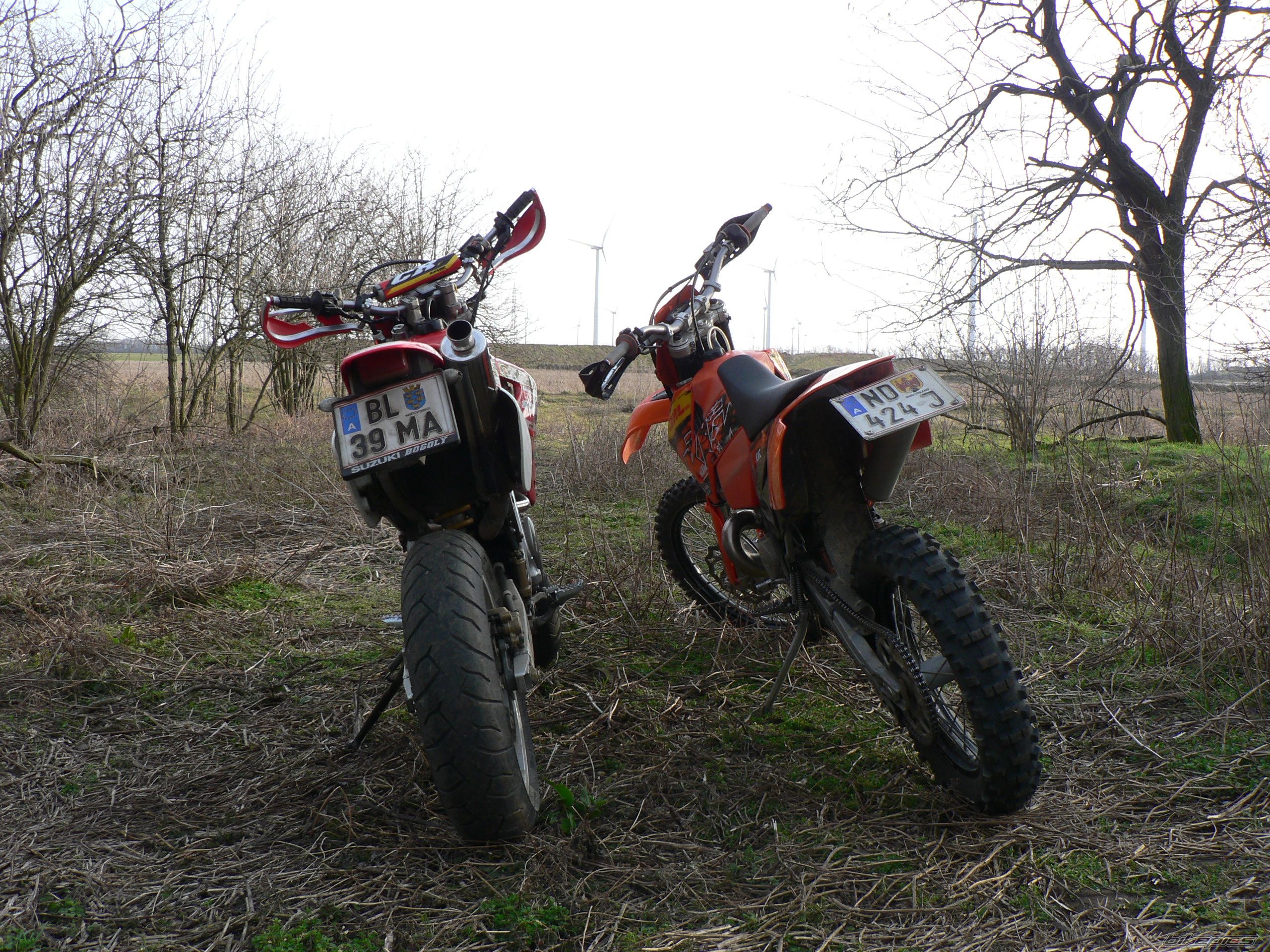 Photo 1194160