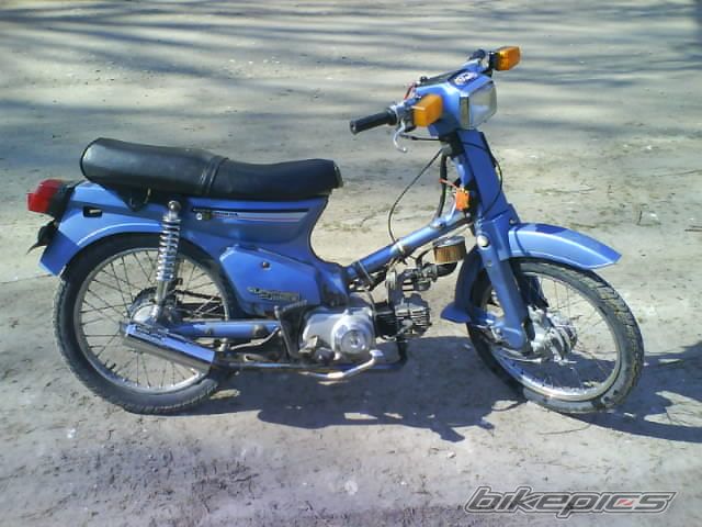 Photo 1194169