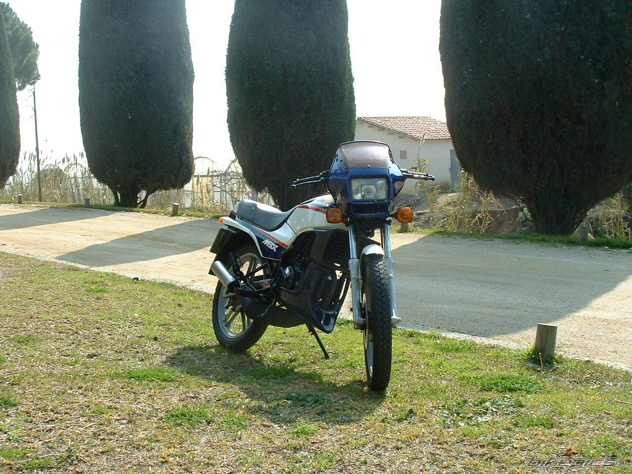 Bike Photo 119419