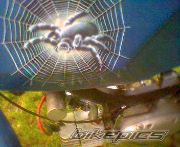 Bike Photo 1194269