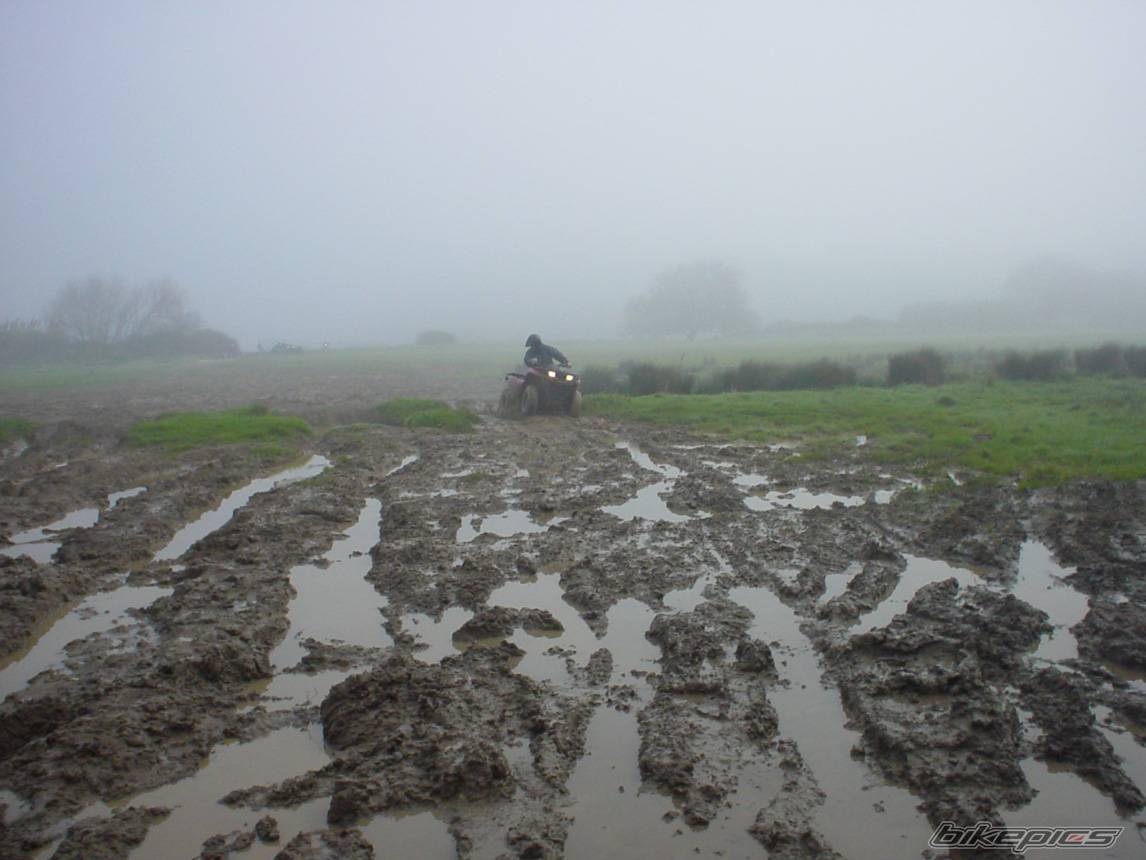 Bike Photo 119446