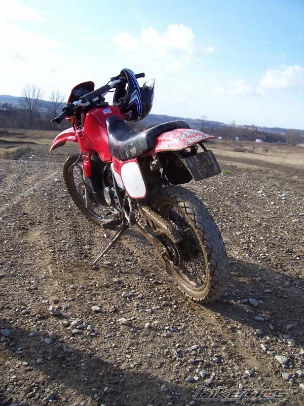 Bike Photo 1194548