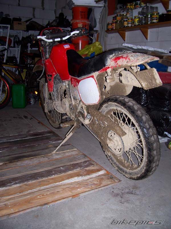 Bike Photo 1194551