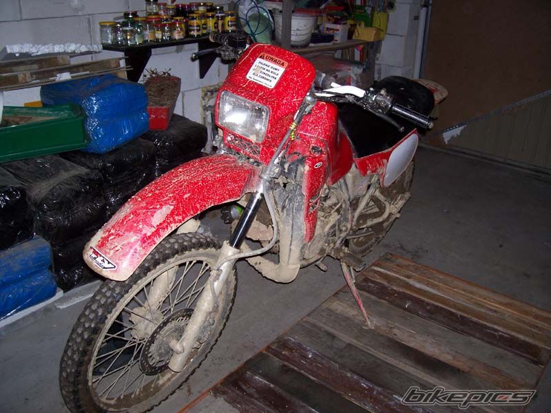 Bike Photo 1194553