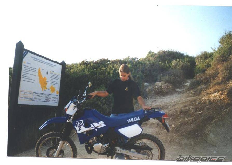 Bike Photo 119482