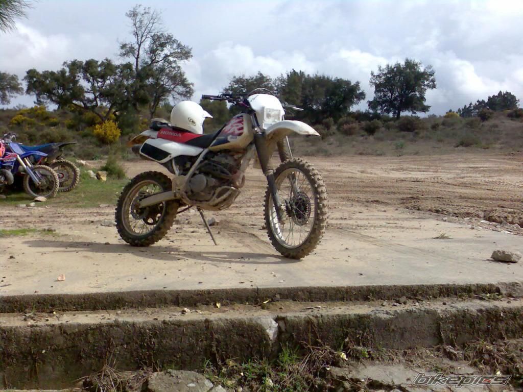 Bike Photo 1194969