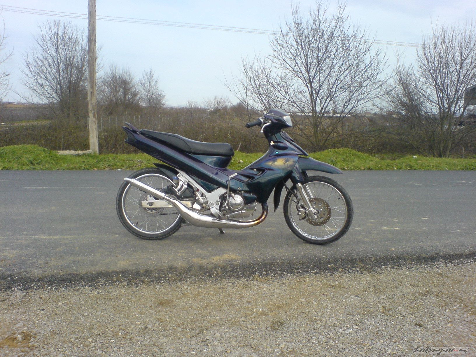 Photo 1195029