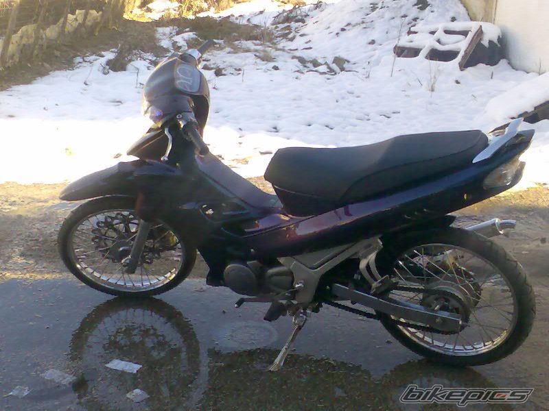 Photo 1195035