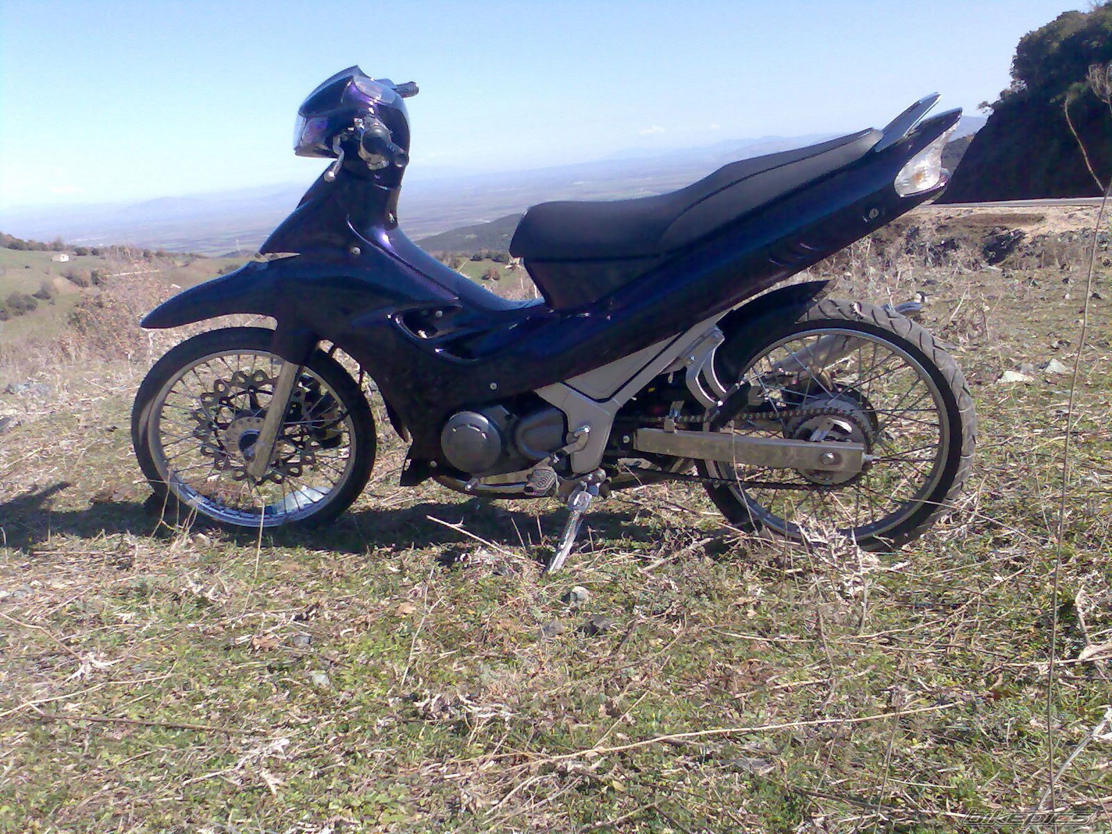 Photo 1195040