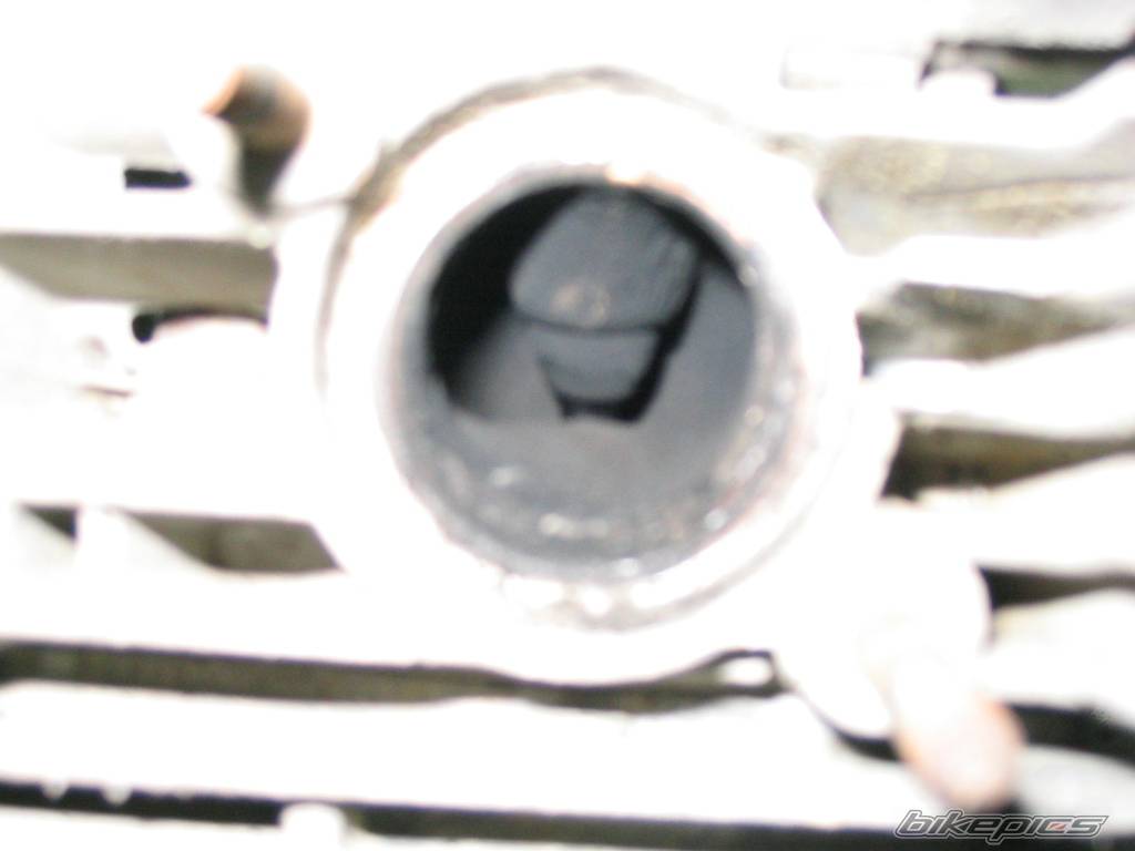 Photo 119509