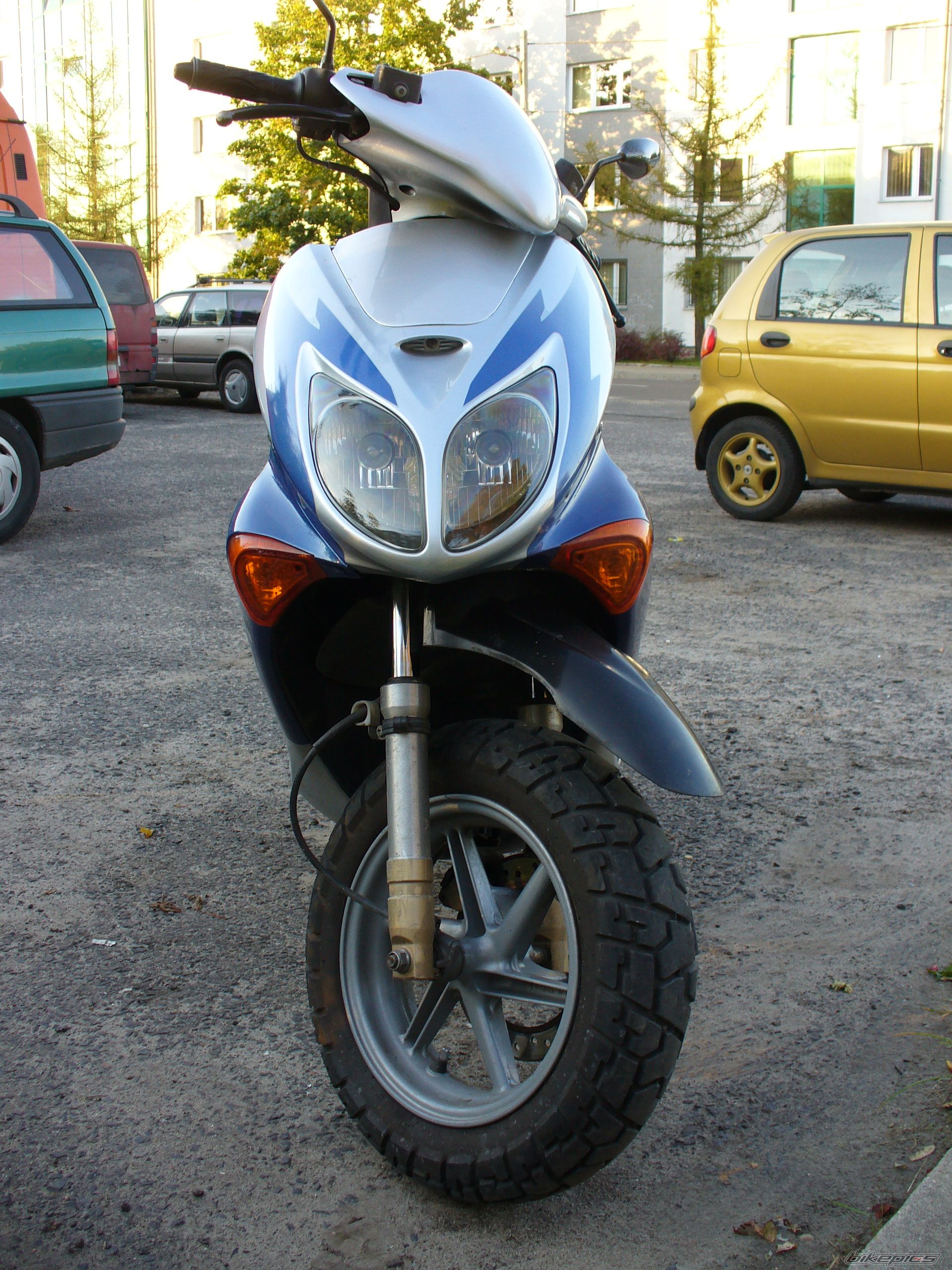 Photo 1195125