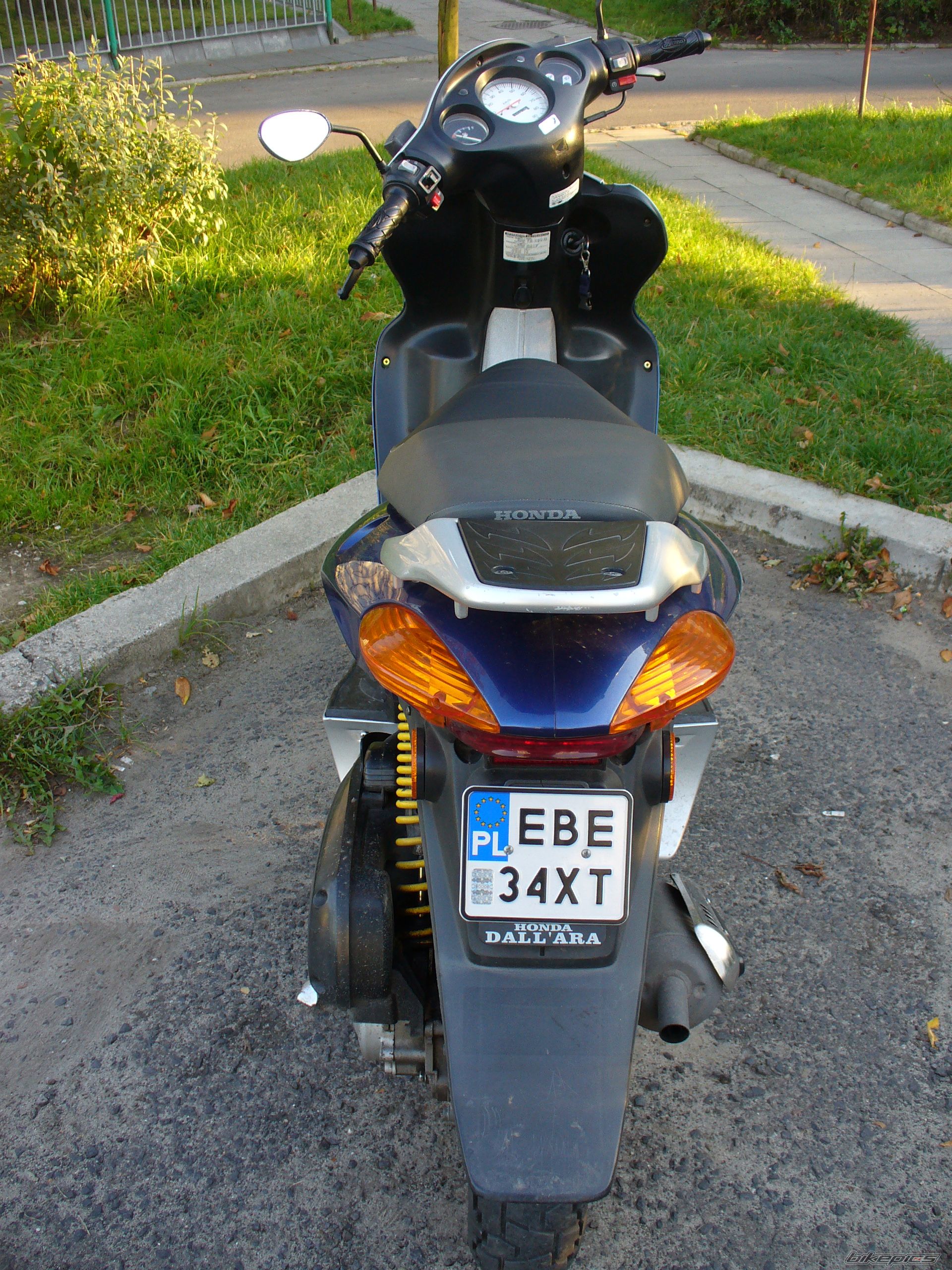 Photo 1195141