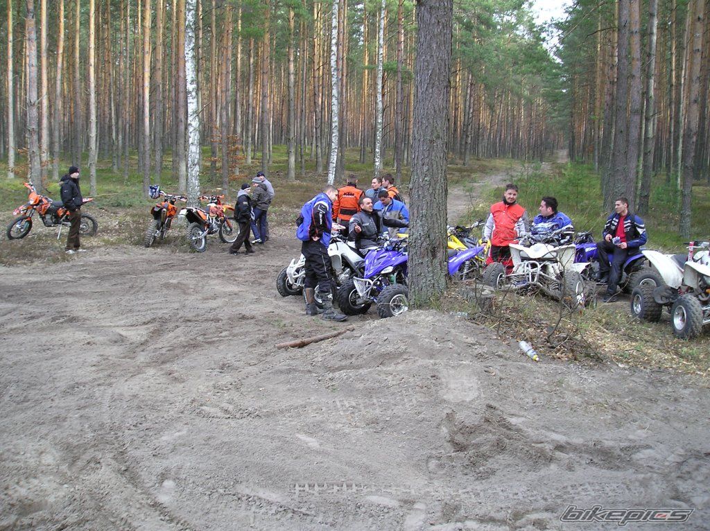 Photo 1195292