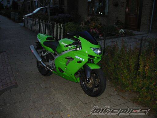 Photo 11955