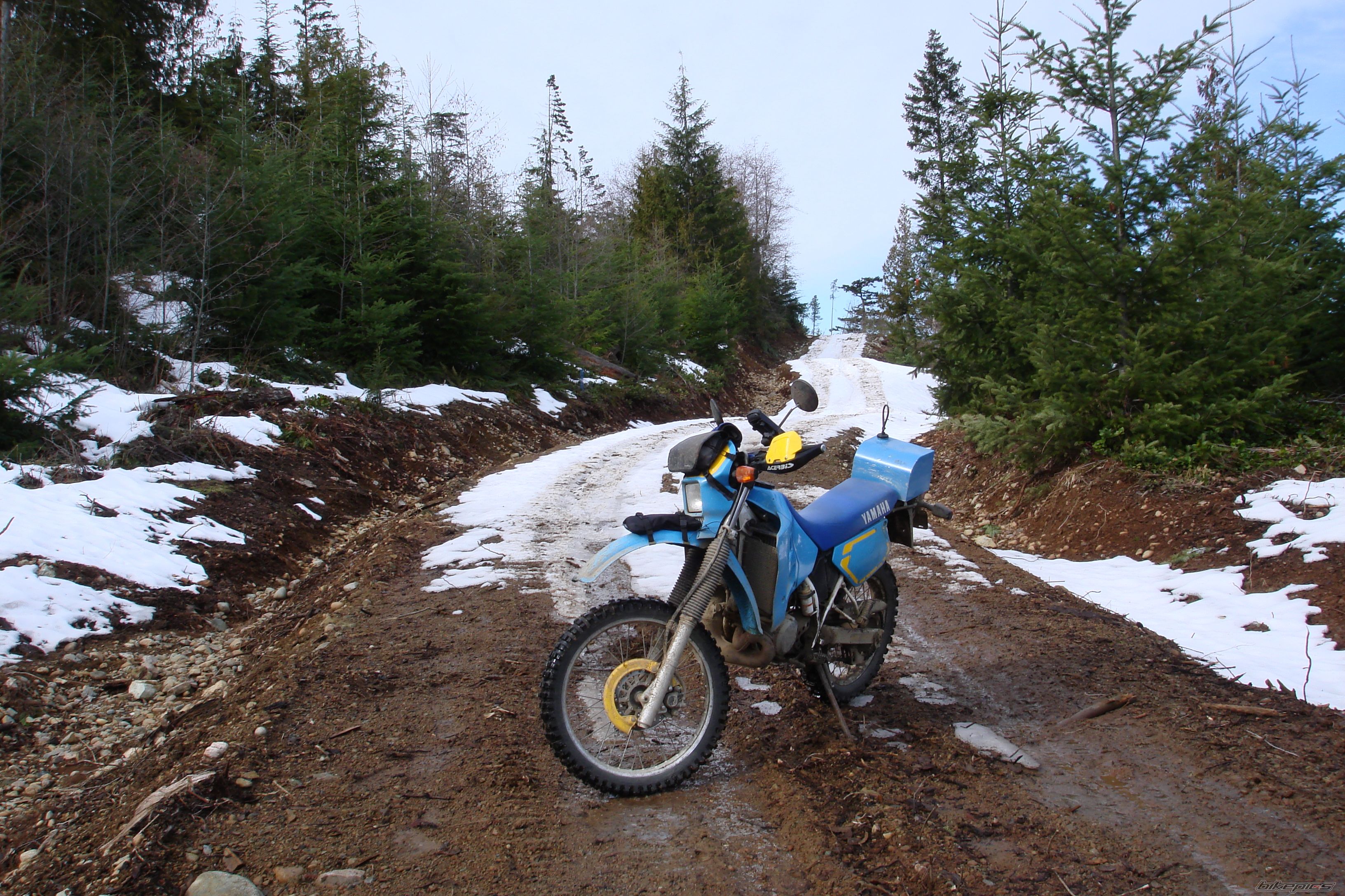 Bike Photo 1195632