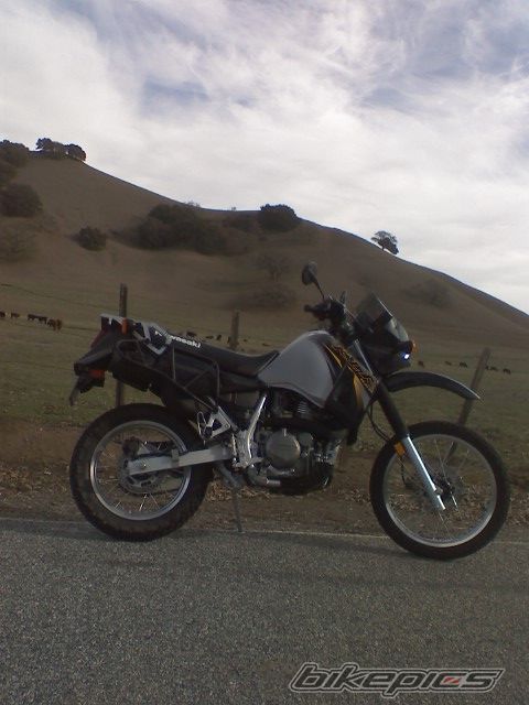 Photo 1195649