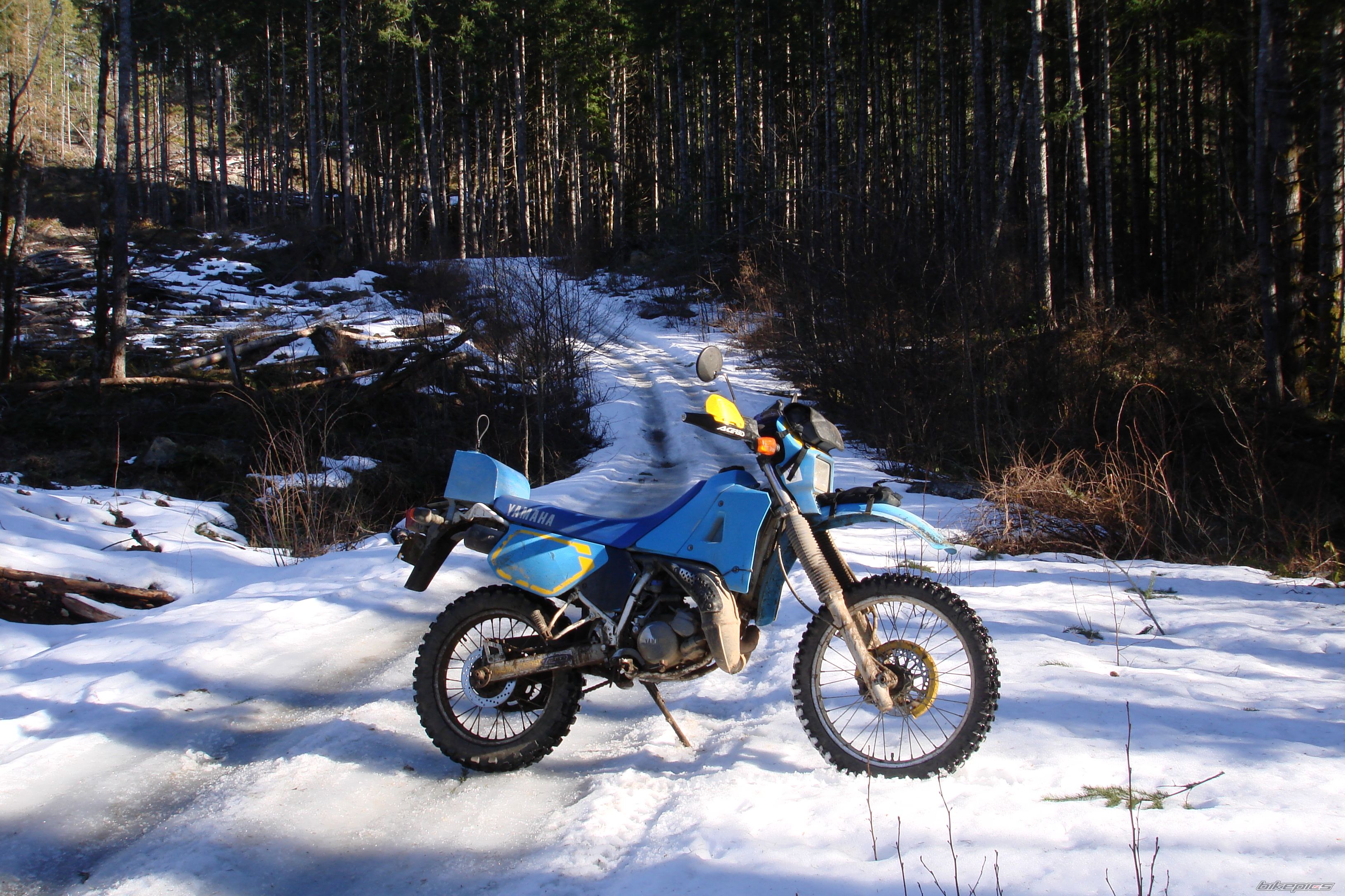 Bike Photo 1195650