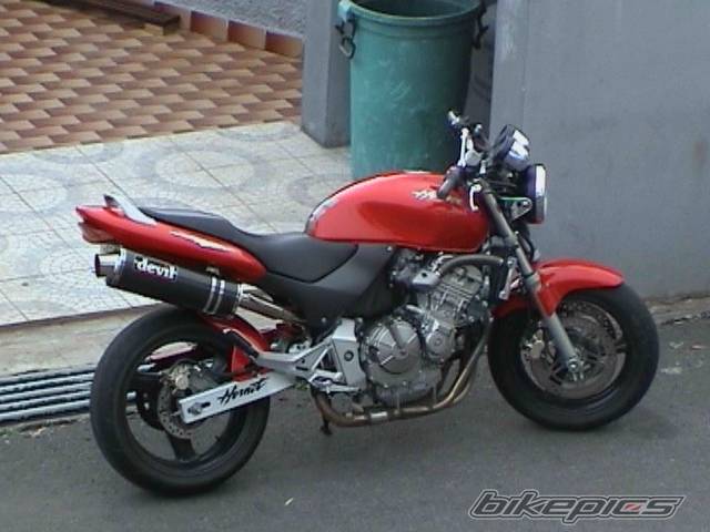Photo 119597