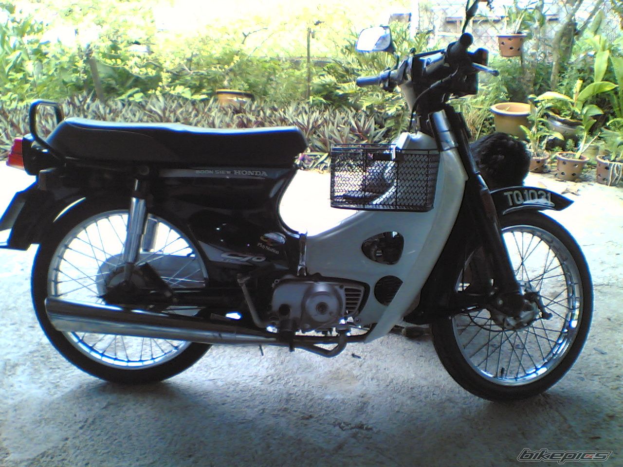 Photo 1196042