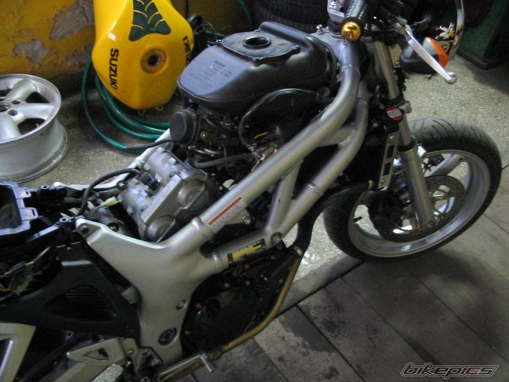 Photo 1196094