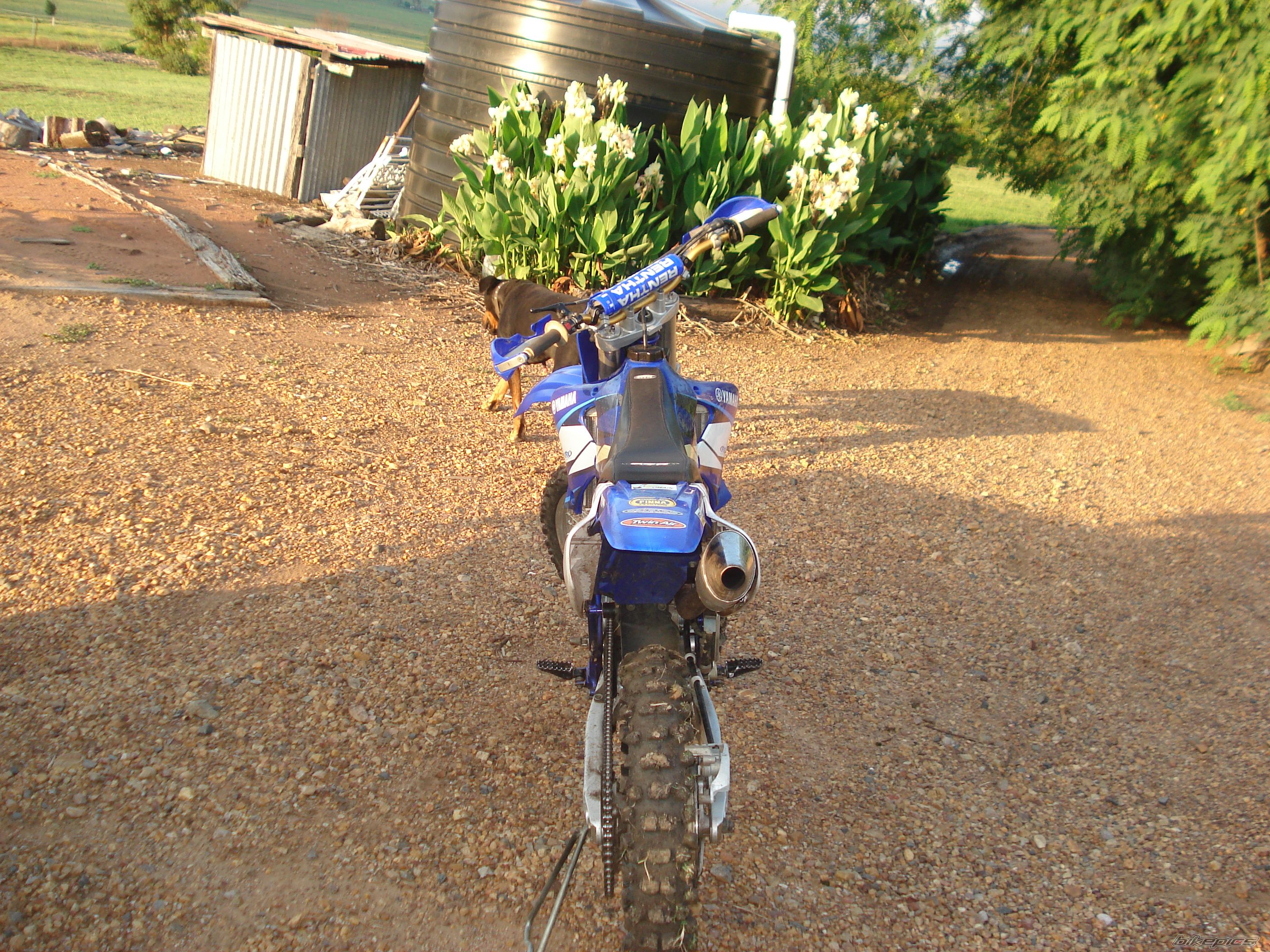 Bike Photo 1196966