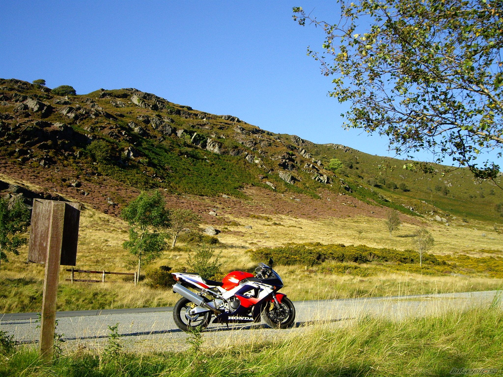 Bike Photo 1196987