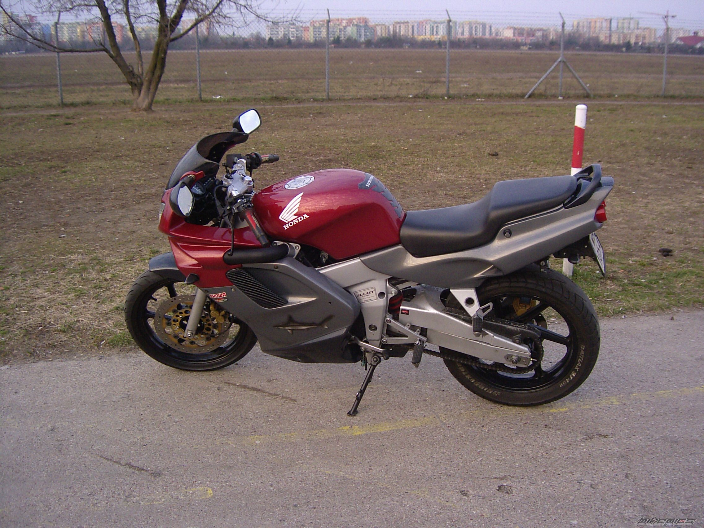 Photo 1197175
