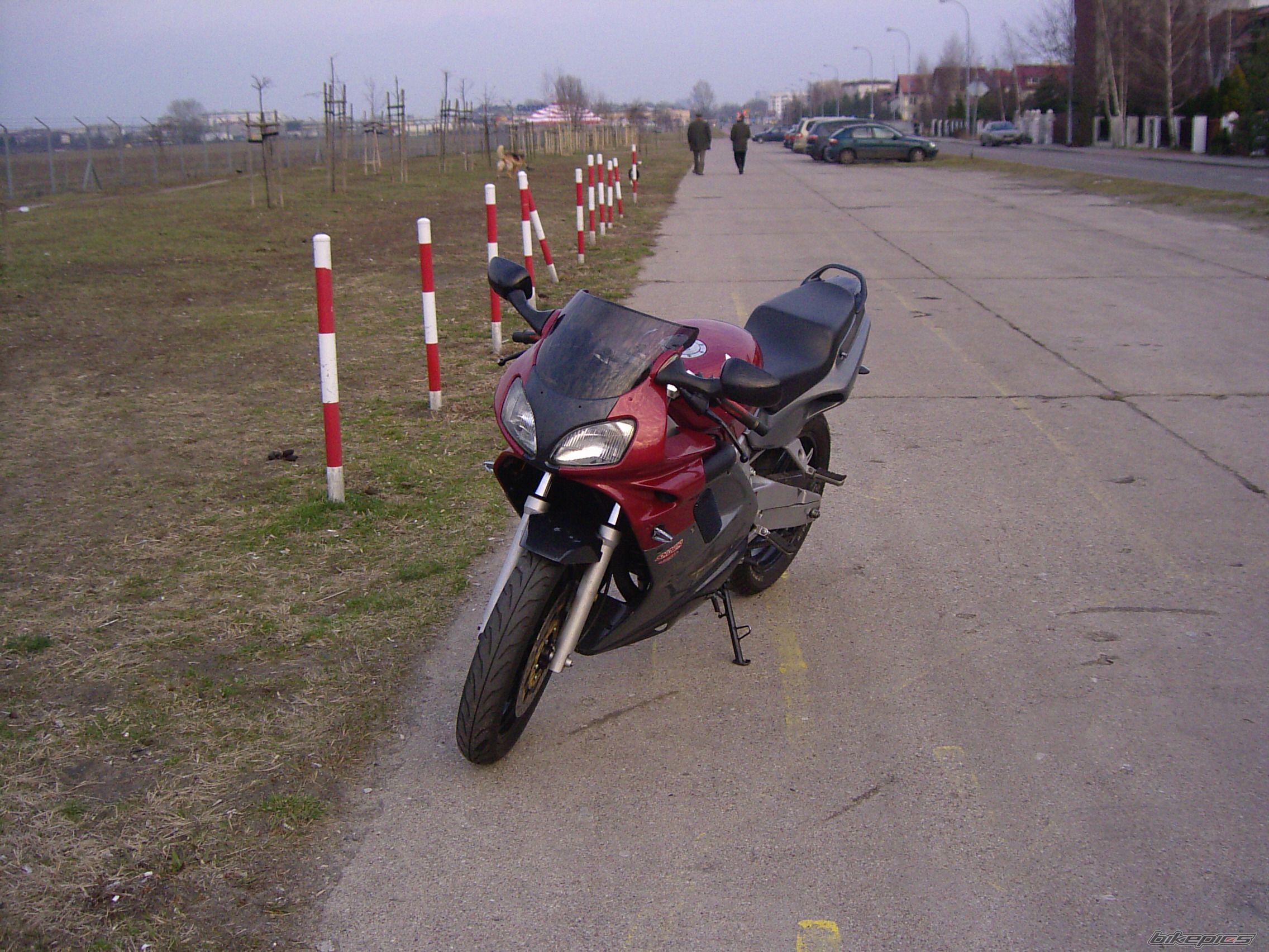 Photo 1197184