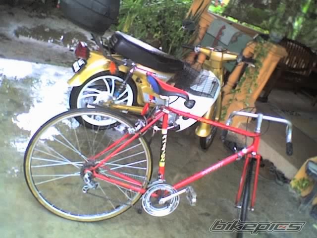 Photo 1197195