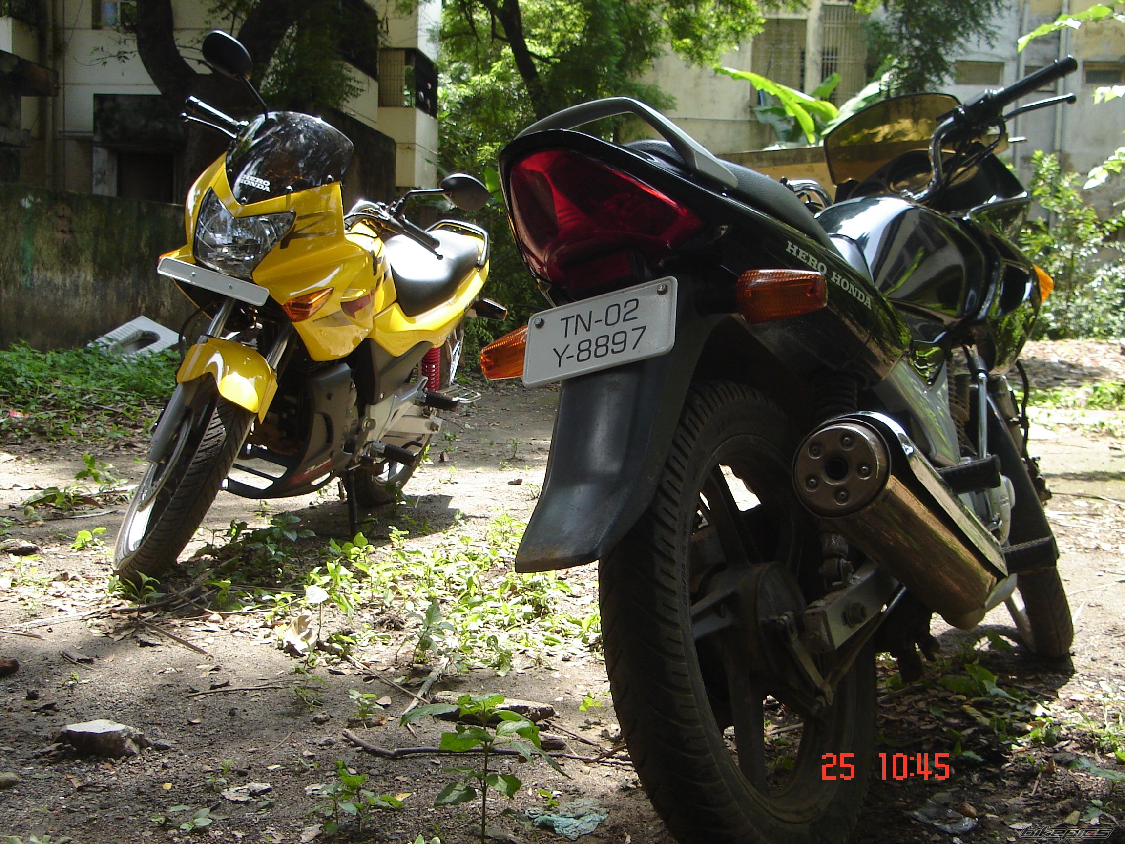 Photo 1197248