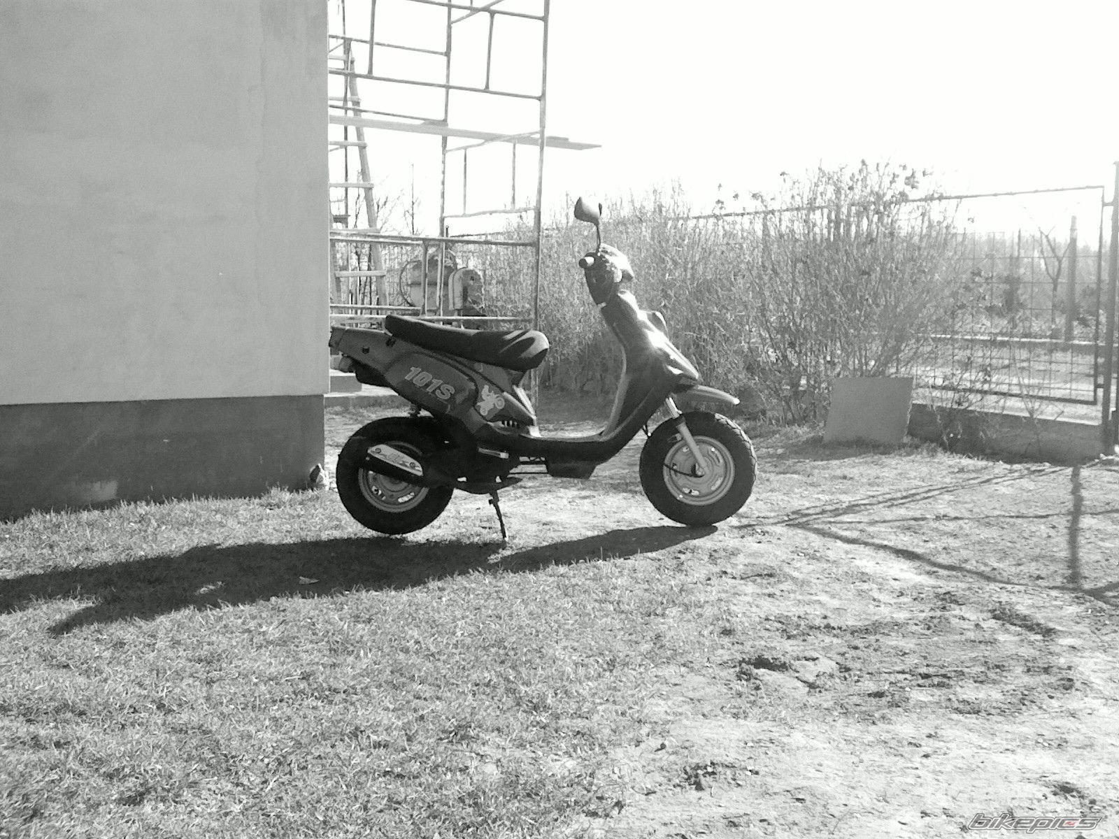 Photo 1197268