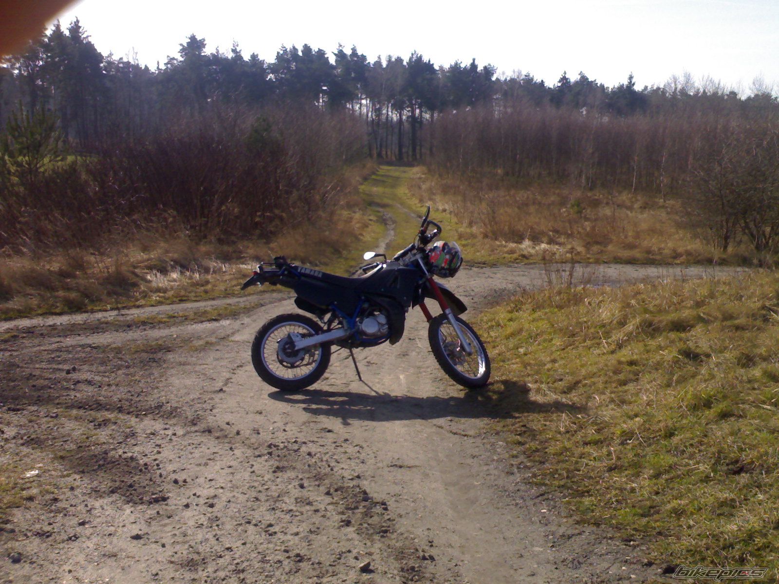 Photo 1197373
