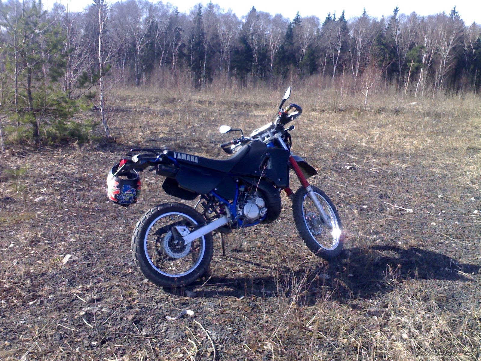 Photo 1197381