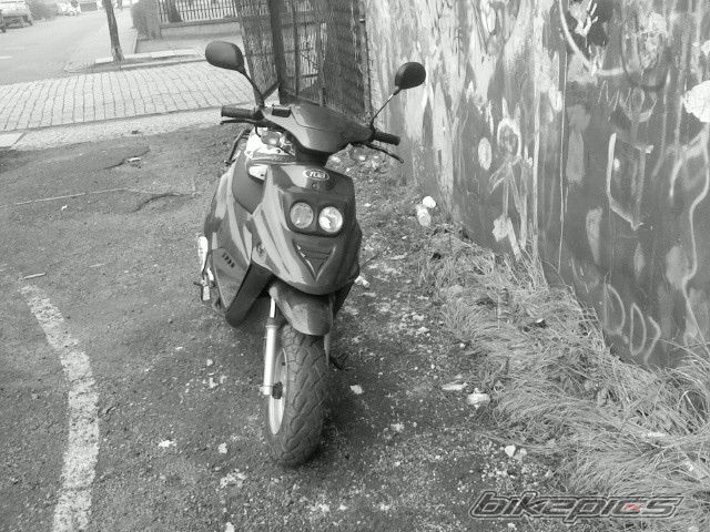 Photo 1197398
