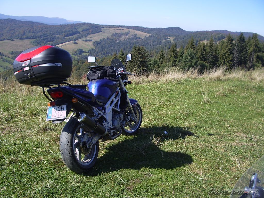 Photo 1197416