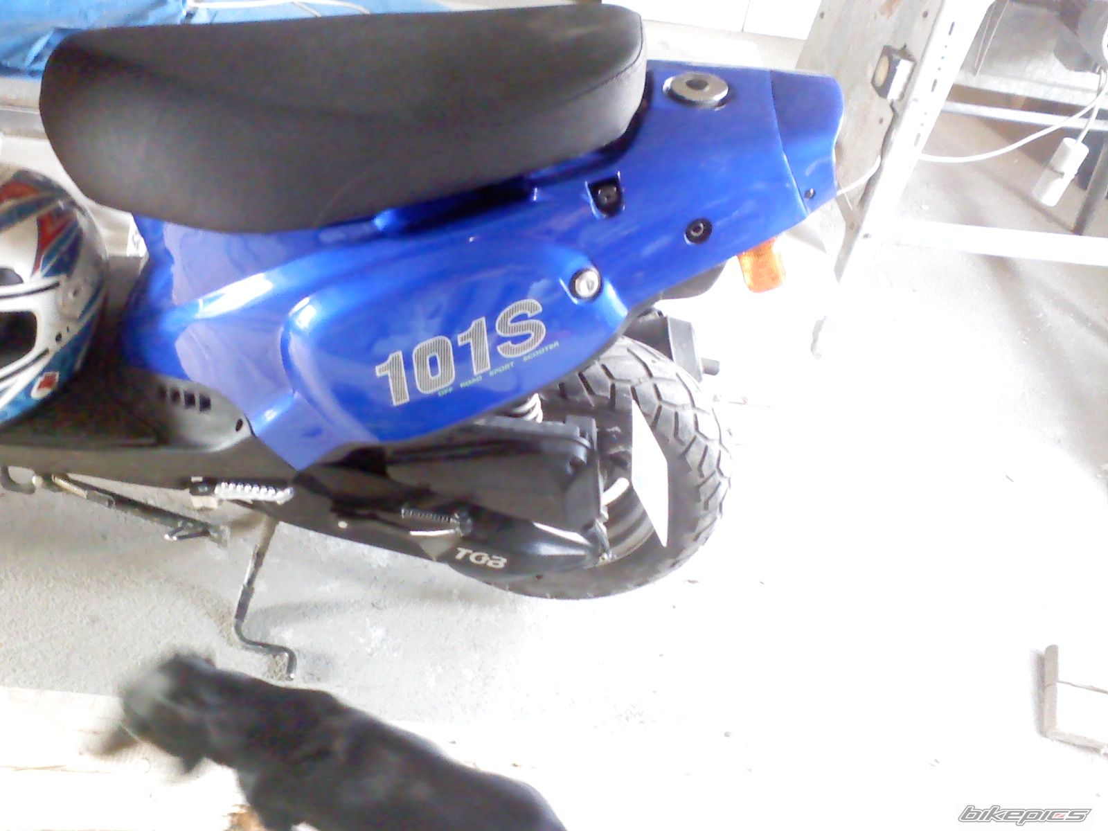 Photo 1197429