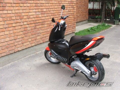 Photo 1197433