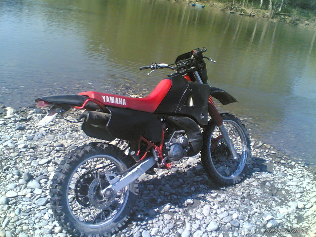 Photo 1197631