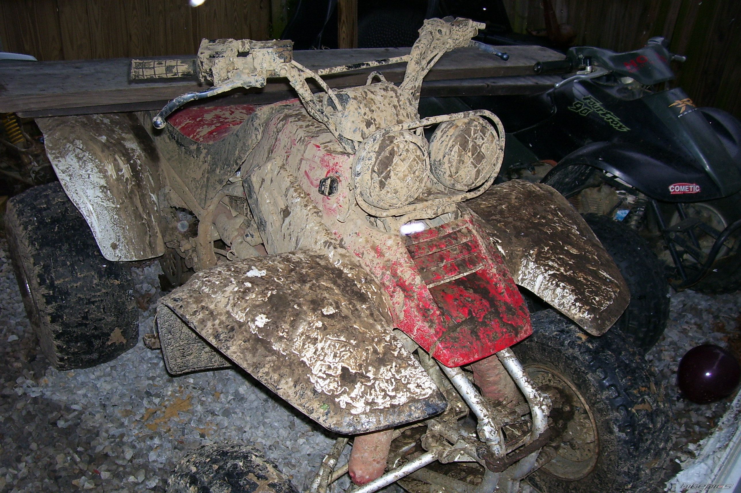 Bike Photo 1197692