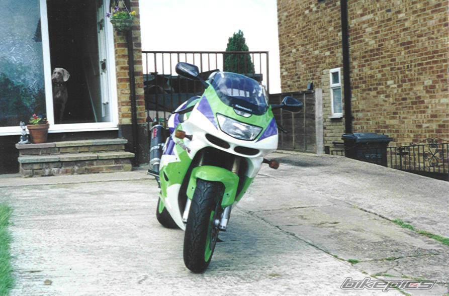 Photo 11978