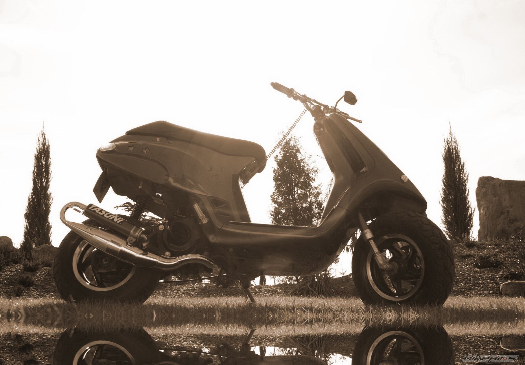 Photo 1197906